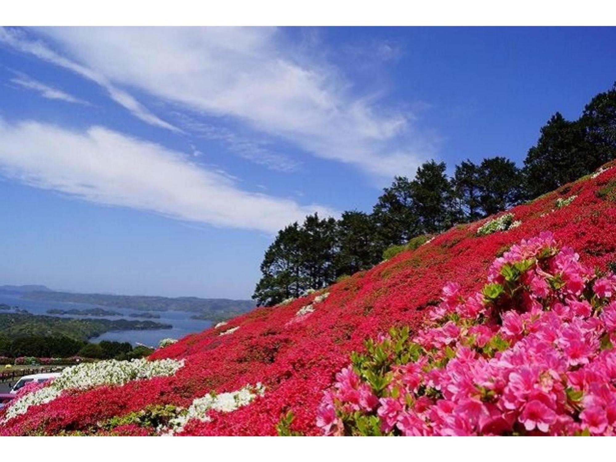 The Paradise Garden Sasebo - Vacation Stay 03127V Extérieur photo